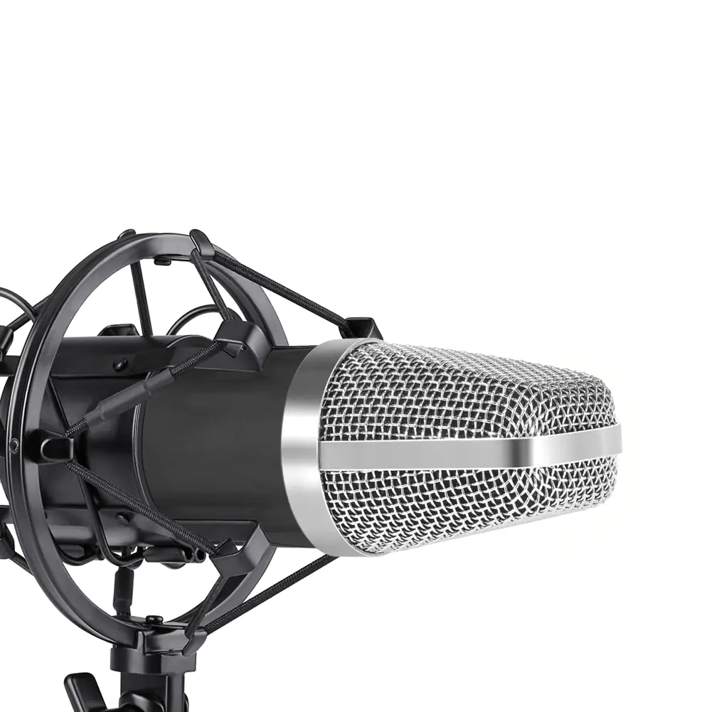 High-Quality Microphone Set with Pop Filter and Stand